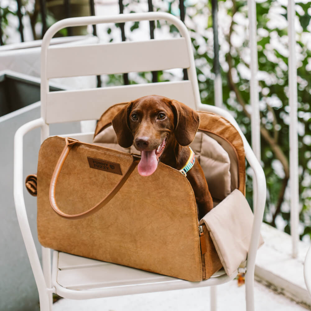 Bolsa de viajes de mascotas multifuncional de Vogue Eco-Funcional-City Roamer