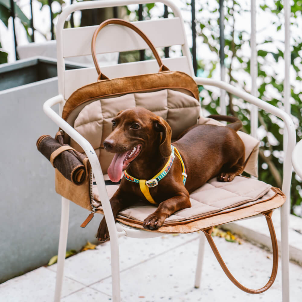 Bolsa de viajes de mascotas multifuncional de Vogue Eco-Funcional-City Roamer