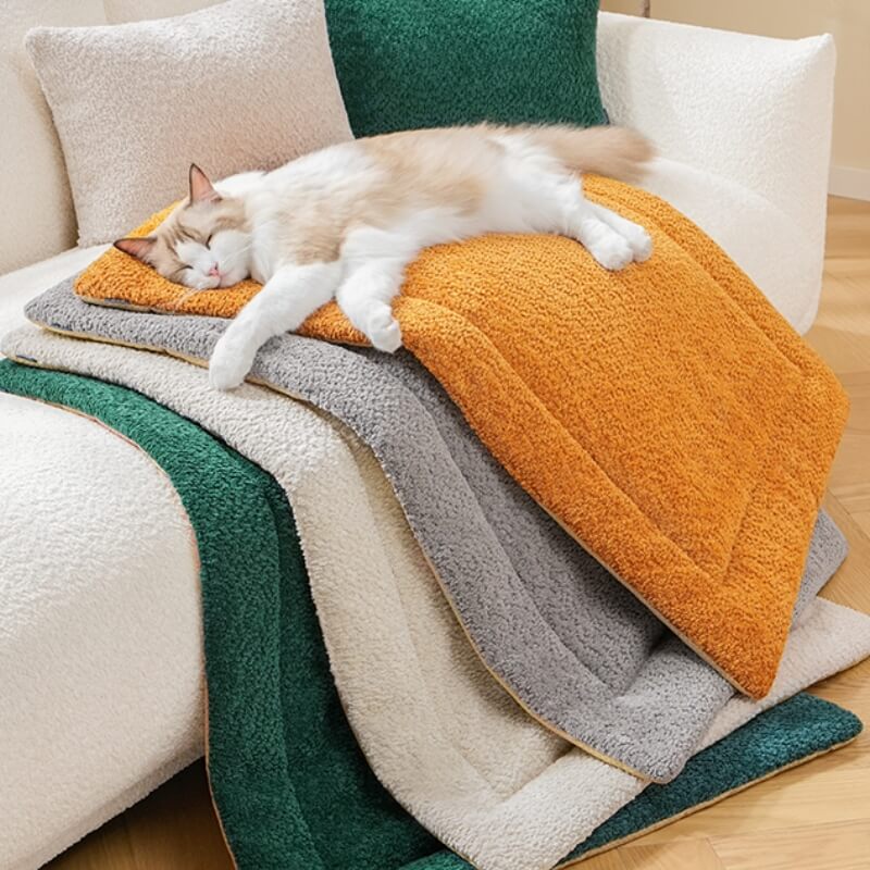 Warm Comfortable Non-slip Plush Pet Mat