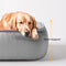 Cama de perros de soporte completo resistente a los arañazos de cuero no resistente al agua