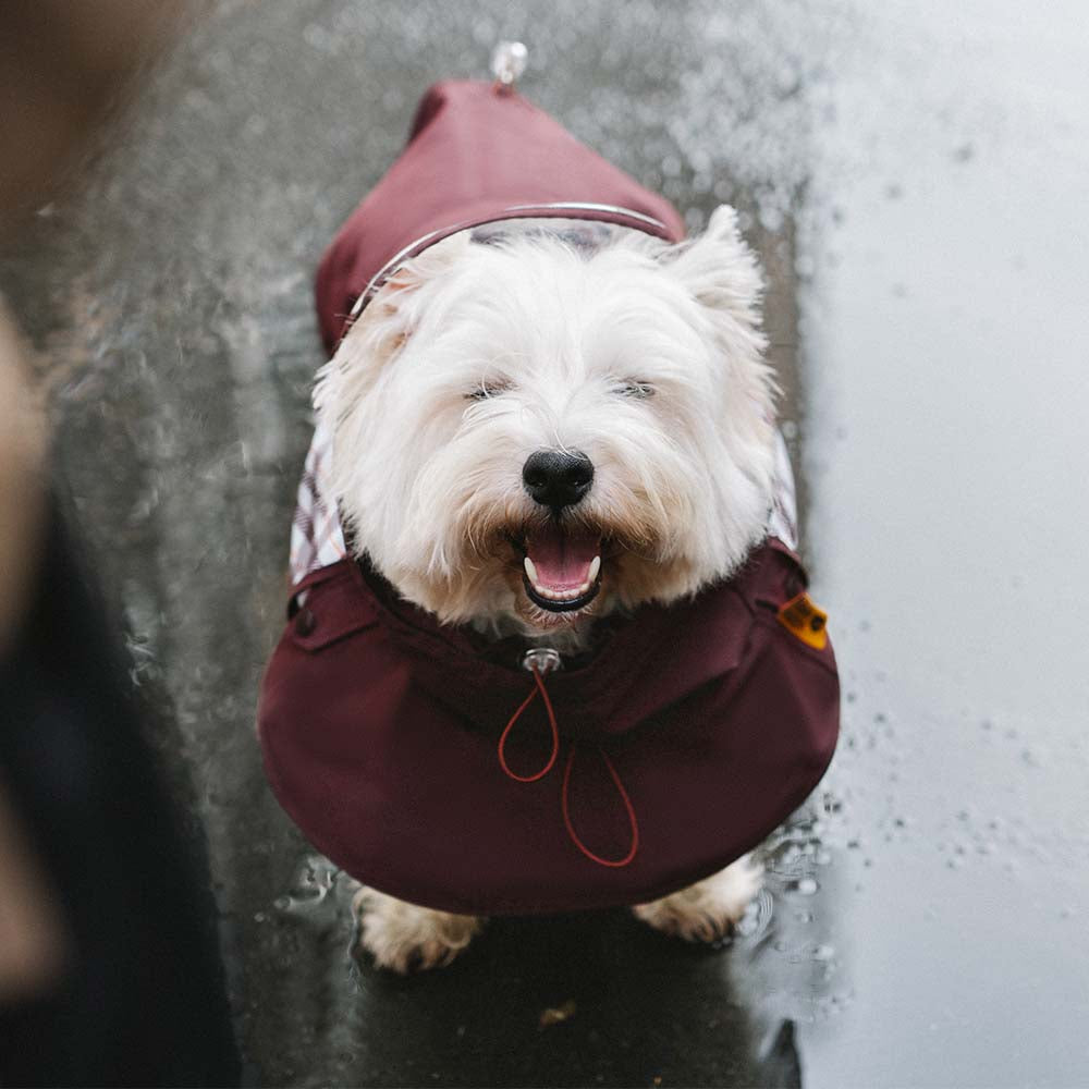 Impermea per cani regolabili per cani regolabili a quadro impermea - Protezione per tutte le stagioni
