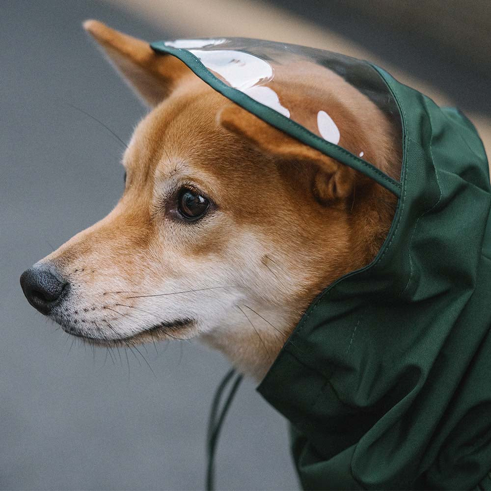 Impermea per cani regolabili per cani regolabili a quadro impermea - Protezione per tutte le stagioni
