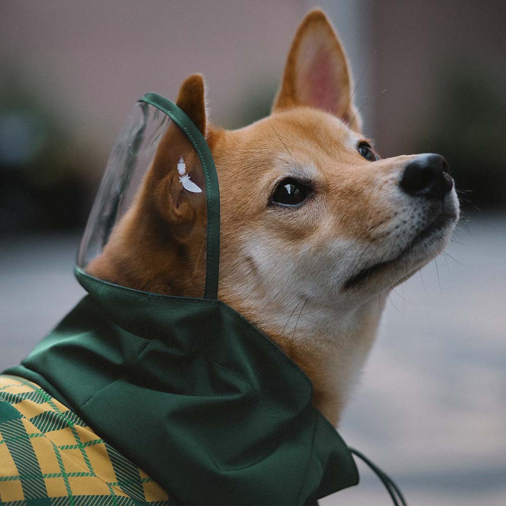 Impermea per cani regolabili per cani regolabili a quadro impermea - Protezione per tutte le stagioni