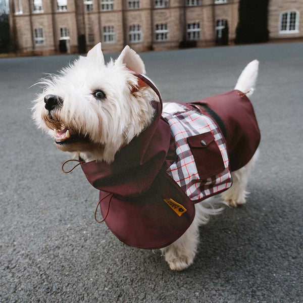 Impermeable a cuadros vintage a cuadros Rair para perros ajustables - Protección para todo clima