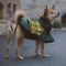 Impermea per cani regolabili per cani regolabili a quadro impermea - Protezione per tutte le stagioni