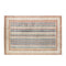 Vintage Blue & Cream Pet-Friendly Area Rug - Timeless Elegance for Your Home
