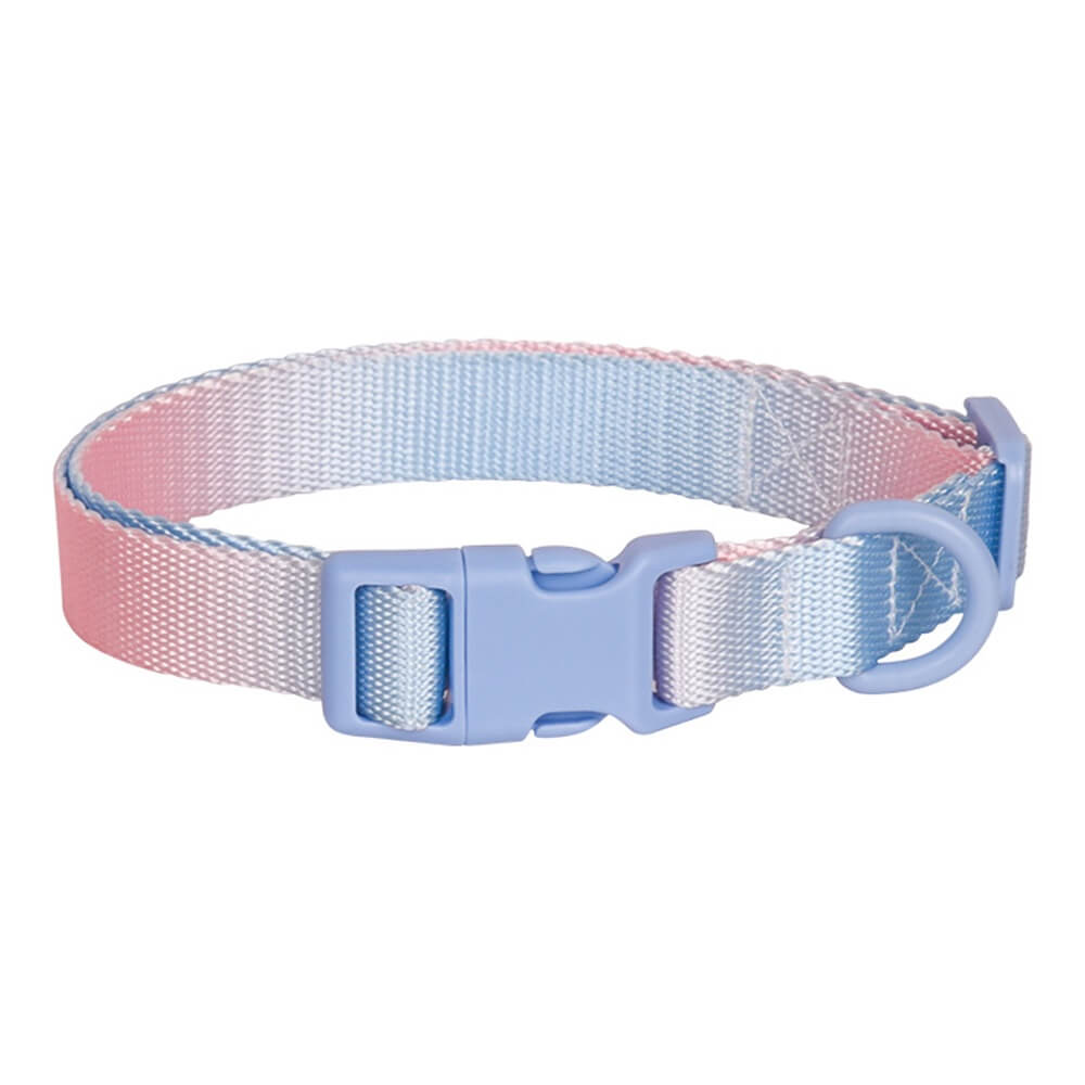 Macaroon Buckle Gradient Nylon Adjustable Dog Collar and Leash