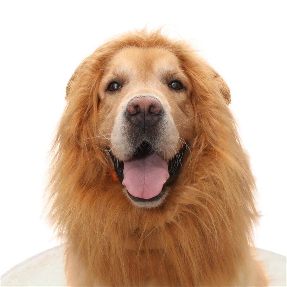 Lion Mane Dog Costume – Perfect for Halloween and Fun Occasions