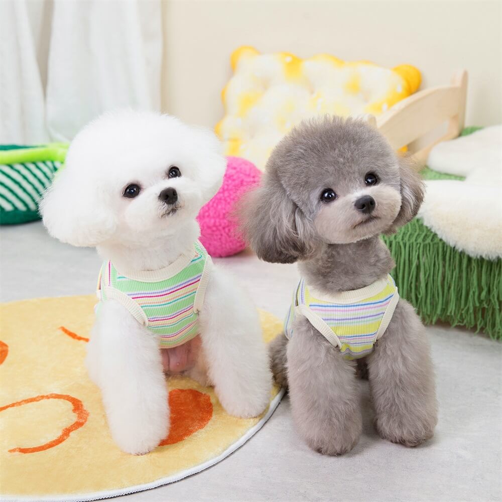 Pet clothing colorful striped pocket smiley face pit striped two-legged vest dog cat summer clothes