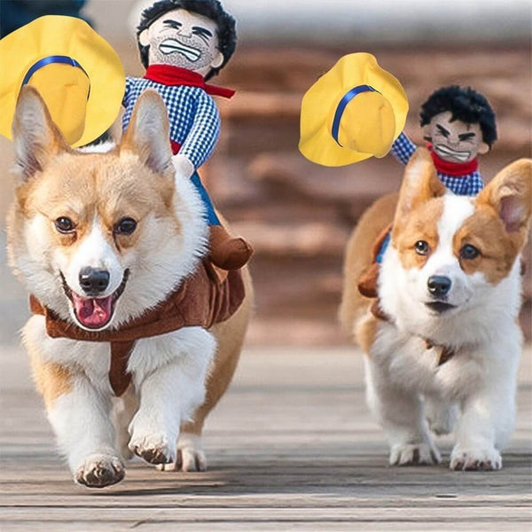 Disfraz de perros de Cowboy Rider: perfecto para un aspecto divertido de Halloween
