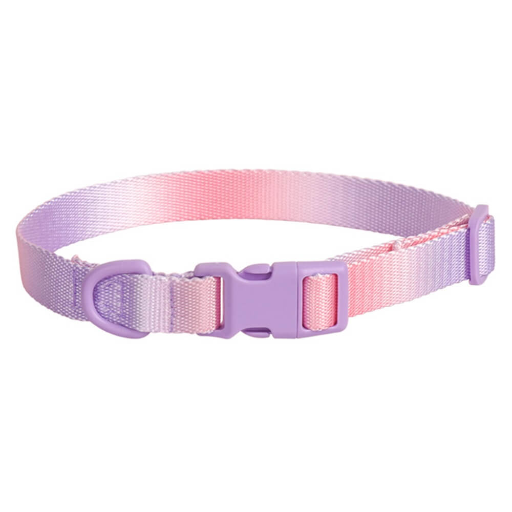 Macaroon Buckle Gradient Nylon Adjustable Dog Collar and Leash