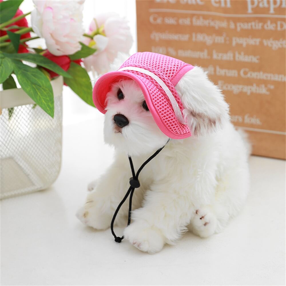 Pet Cat Dog Accessories Adjustable Rope Leaky Ear Sun Hat