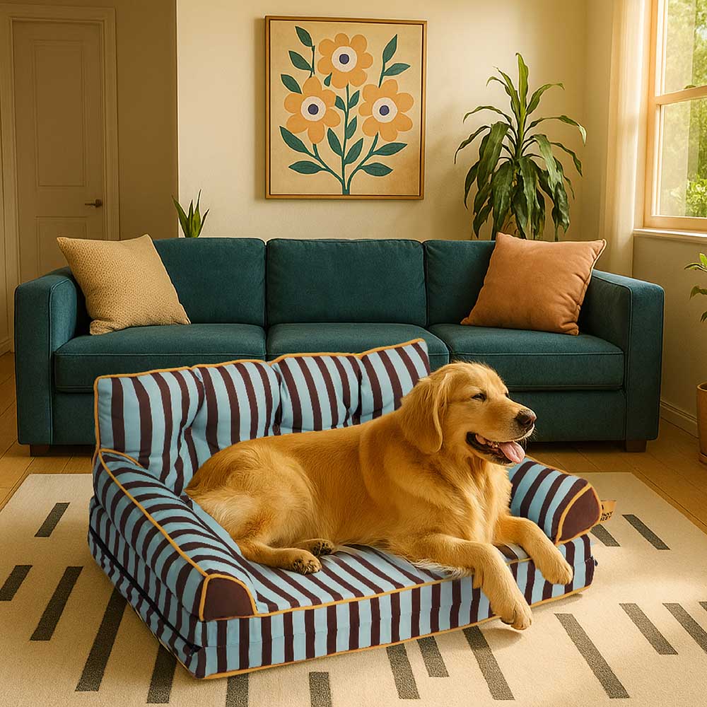 Stripe Implorabile di divano di cani grande pieghevole - Sunny Siesta