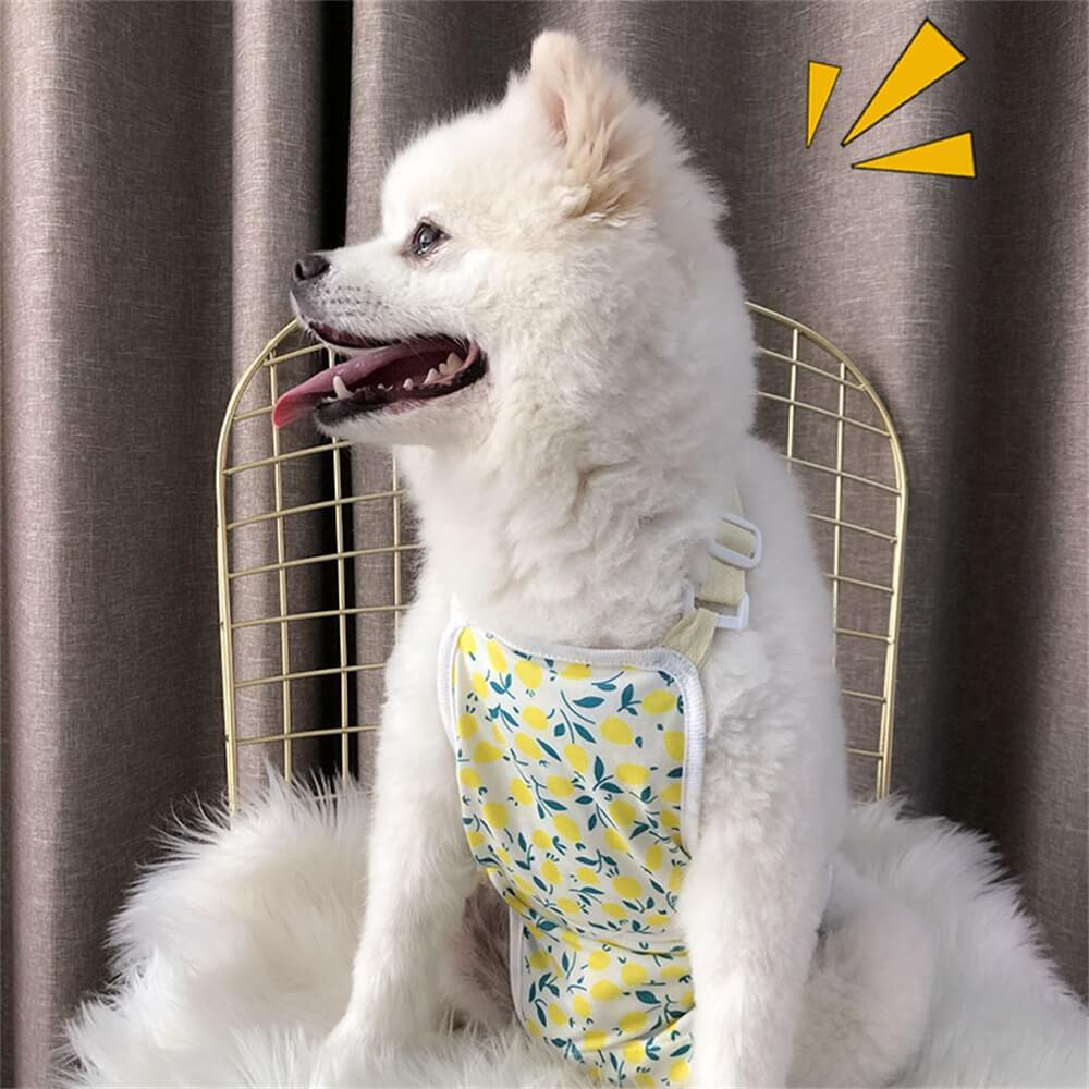 Pantalones menstruales para mascotas, pañales lavables para perros, bandas protectoras para el vientre para ropa para mascotas