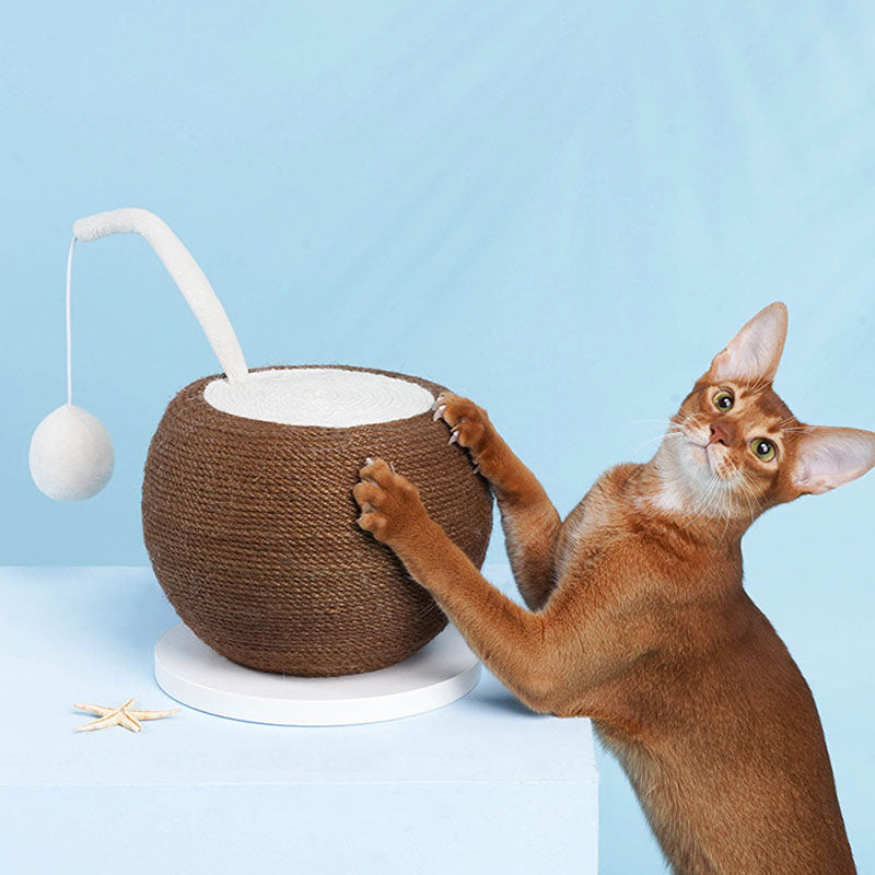 Affûteurs de griffes pour chat en noix de coco