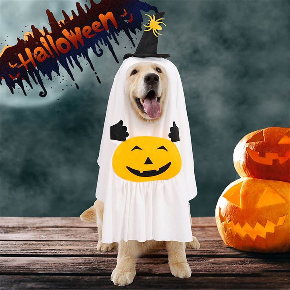 Disfraz creativo de calabaza fantasma de Halloween para perros