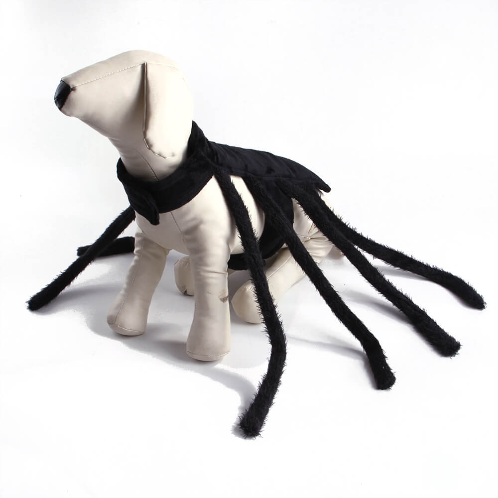 Funny Spider Halloween Pet Toy  Dog and Cats Costume