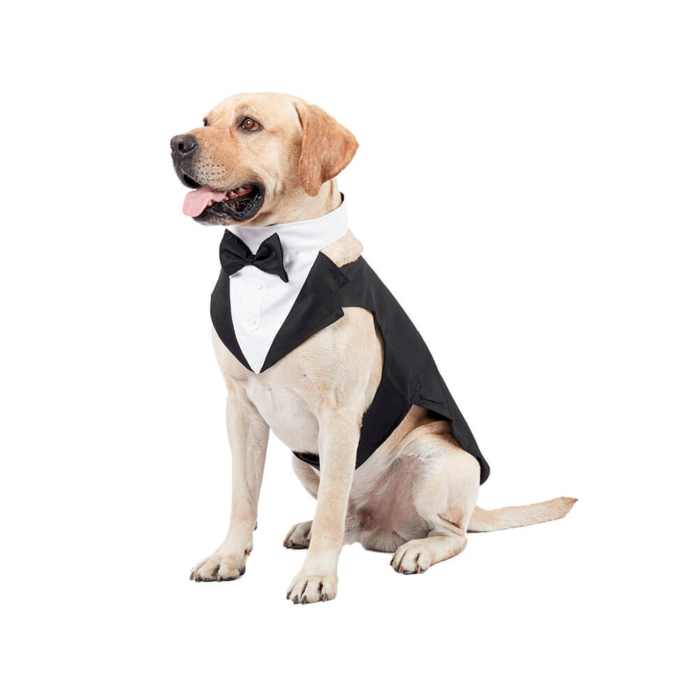 Ropa para perros, vestido de traje con pajarita de boda