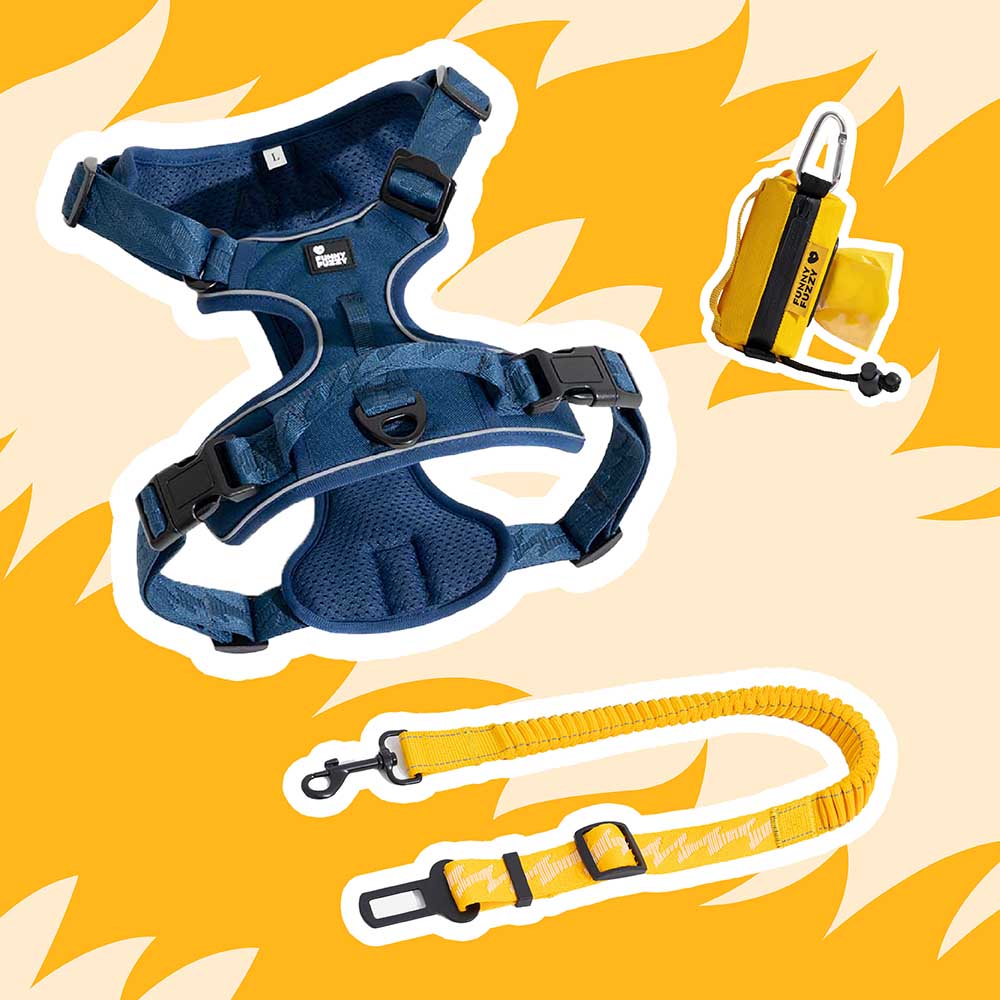 Yellow & Blue - Be Seen Walking Kit - 3pcs