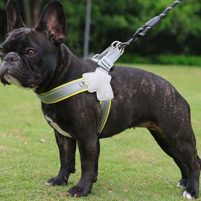 Adjustable Dog Chest Harness