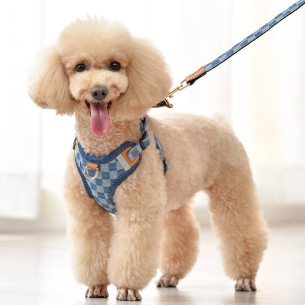 Set di camminata di cablaggio per cani anti -pull