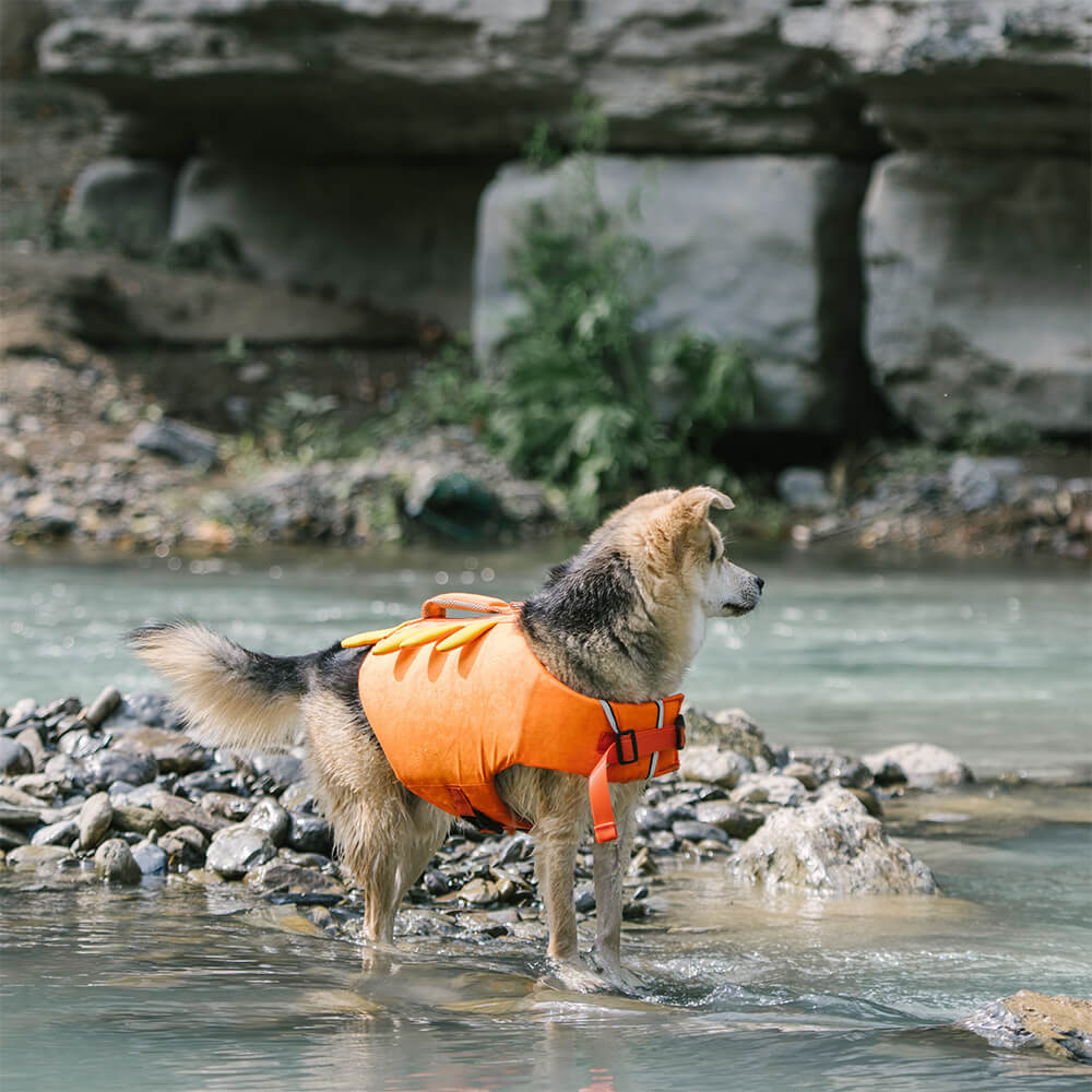 Gilet de sauvetage pour chien à manteau flottant en forme de crabe