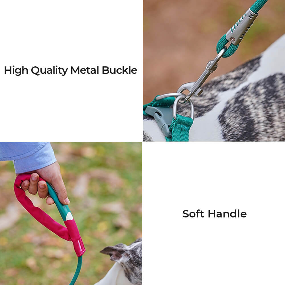 Easy to Wear Adjustable No-Pull Dog Harness Walk Set