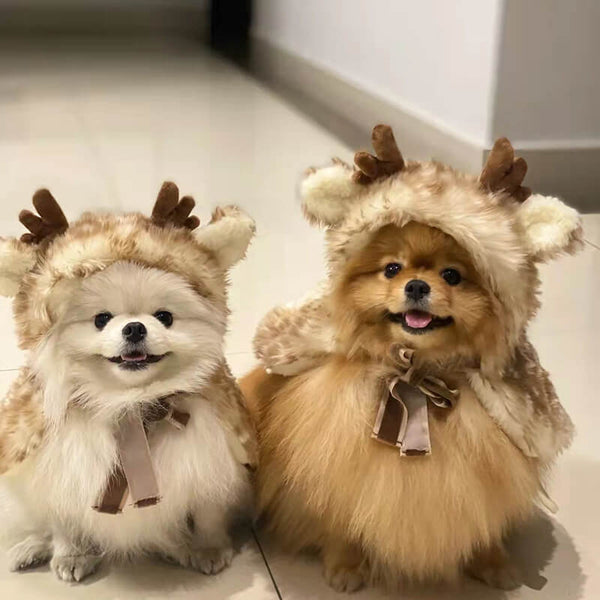 Ropa de ropa de mascotas Cape de cape y gato disfraces de perros de lujo regalos