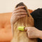 Brosse à dents pour animaux de compagnie, brosse à dents pour le nettoyage des dents