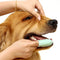 Brosse à dents pour animaux de compagnie, brosse à dents pour le nettoyage des dents