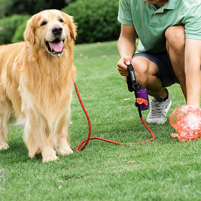 Distributeur portatif de sac de déchet de chien de sac de marche de chien de tissu d'Oxford