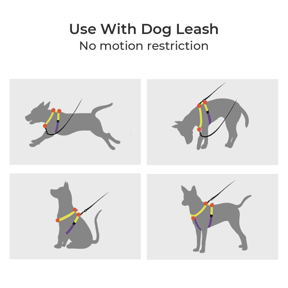 Reflektierendes Hundegeschirr mit Schnallenhals und No-Pull-Hundegeschirr