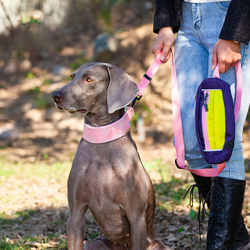 Collar de accesorios para perros, elegante, cómodo, sin tirones