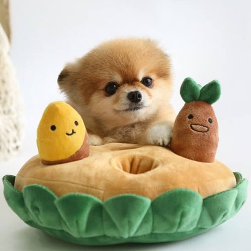 Interaktives Hunde-Puzzle-Spielzeugset zum Ziehen und Schnüffeln von Sweet Potato