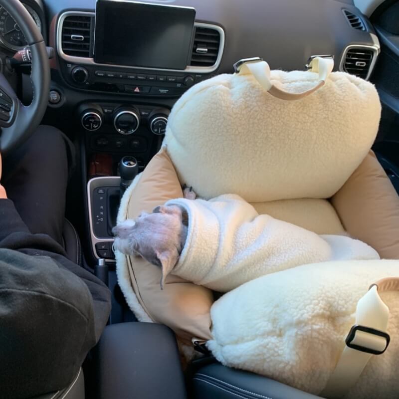 Lit de siège de voiture pour grand chien, protecteur de chiot de sécurité de voyage