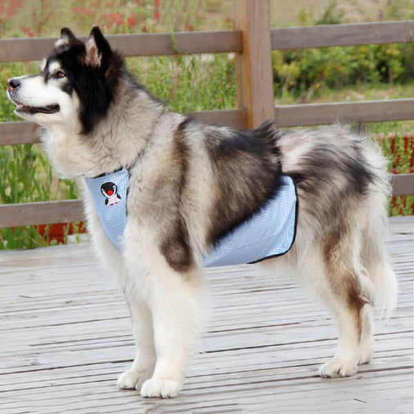 Cubierta de perrito de babero de mascotas a cuadros impermeables