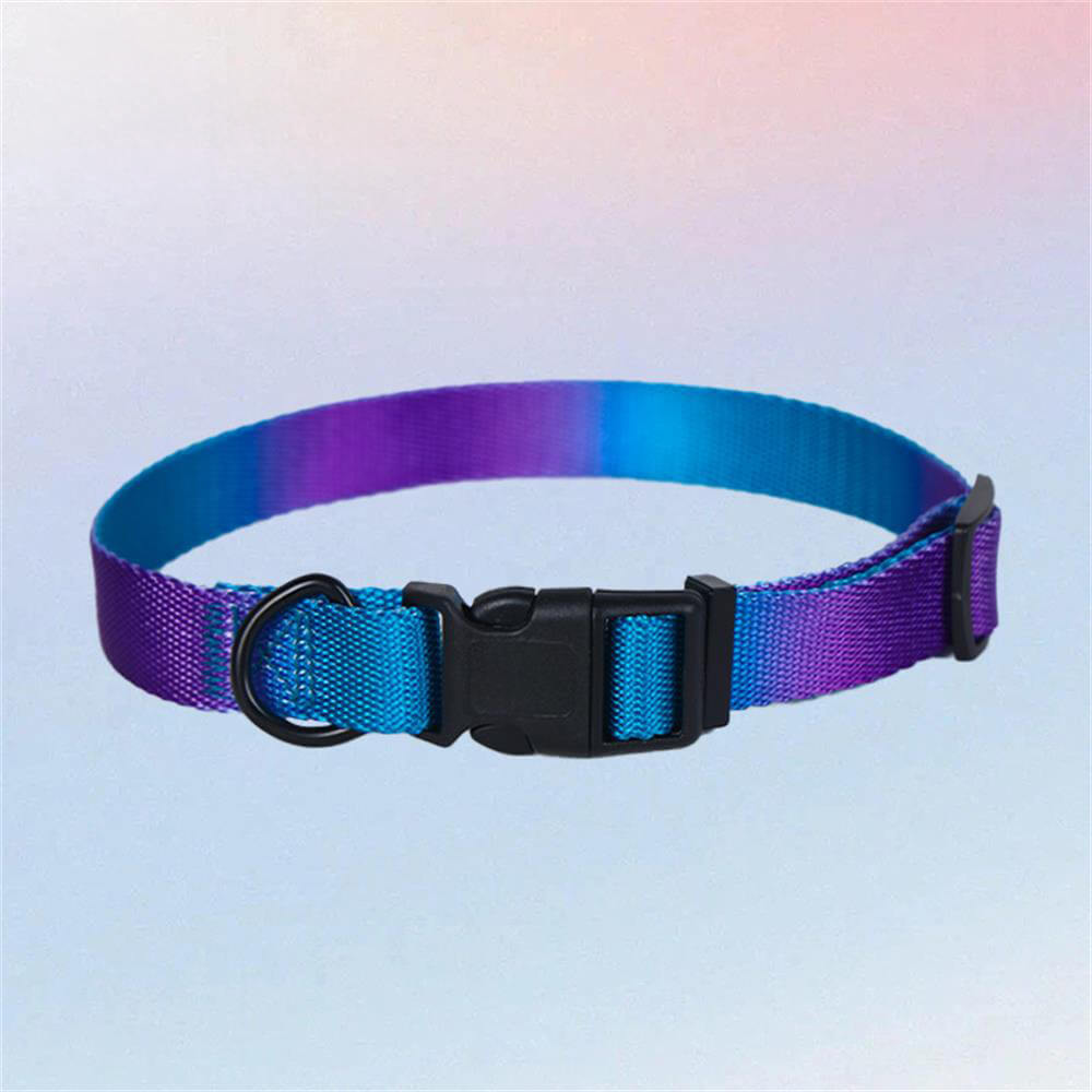 Colorful Gradient Dog Traction Rope and Chest Harness - Anti-Breakaway Design