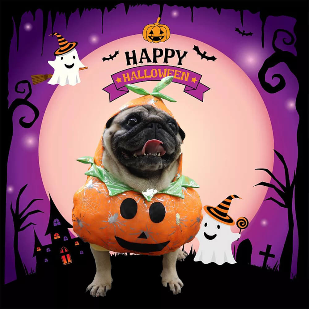 Costume de chien citrouille – Amusant et festif pour Halloween