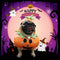 Kürbis-Hundekostüm – lustig und festlich für Halloween