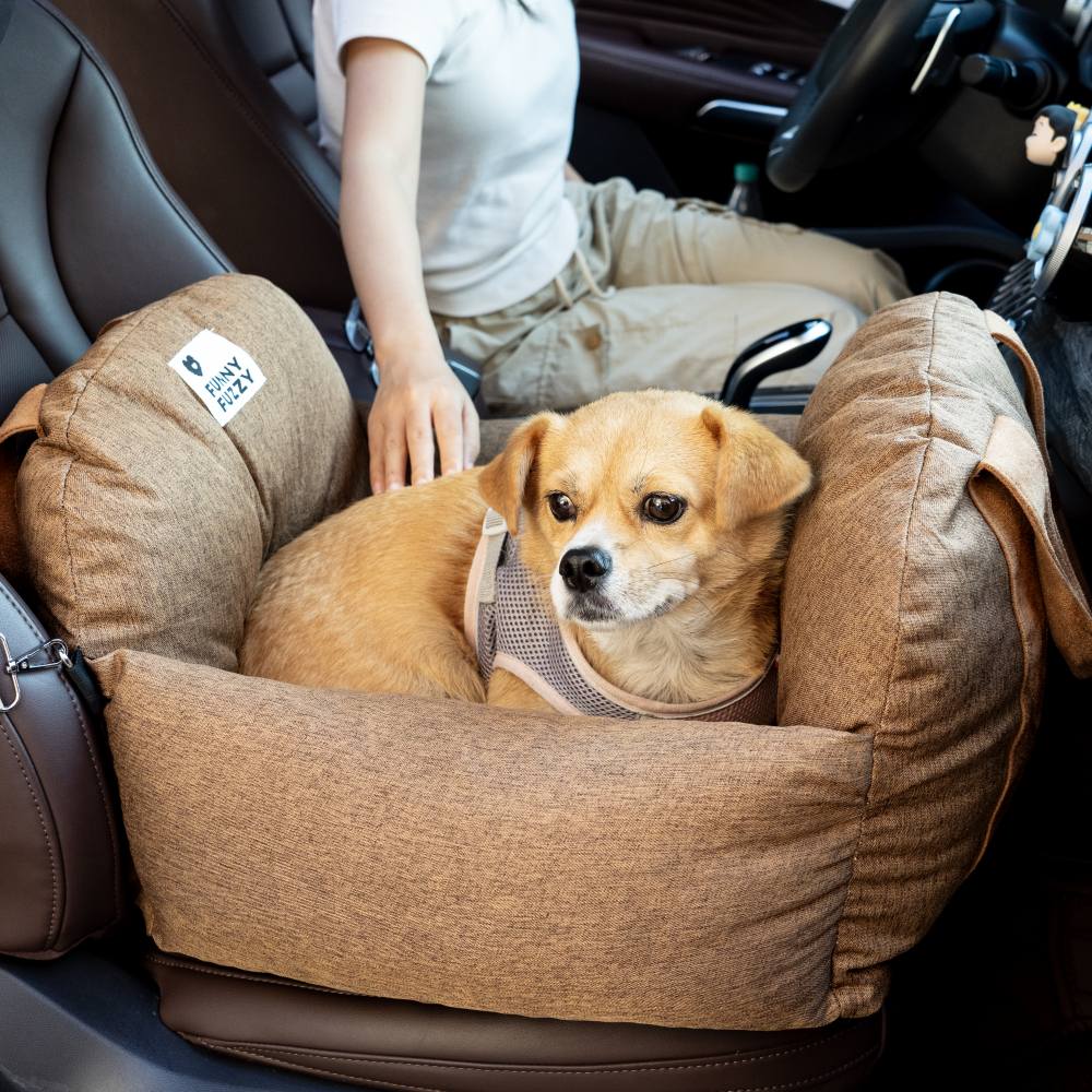 <tc><div>&nbsp;</div>
<div>
<div>
<div data-zone-id="0" data-line-index="0" data-line="true"><span>Cama para asiento de coche para perros, Asiento de automóvil para perros - Primera clase</span></div>
</div>
</div></tc>