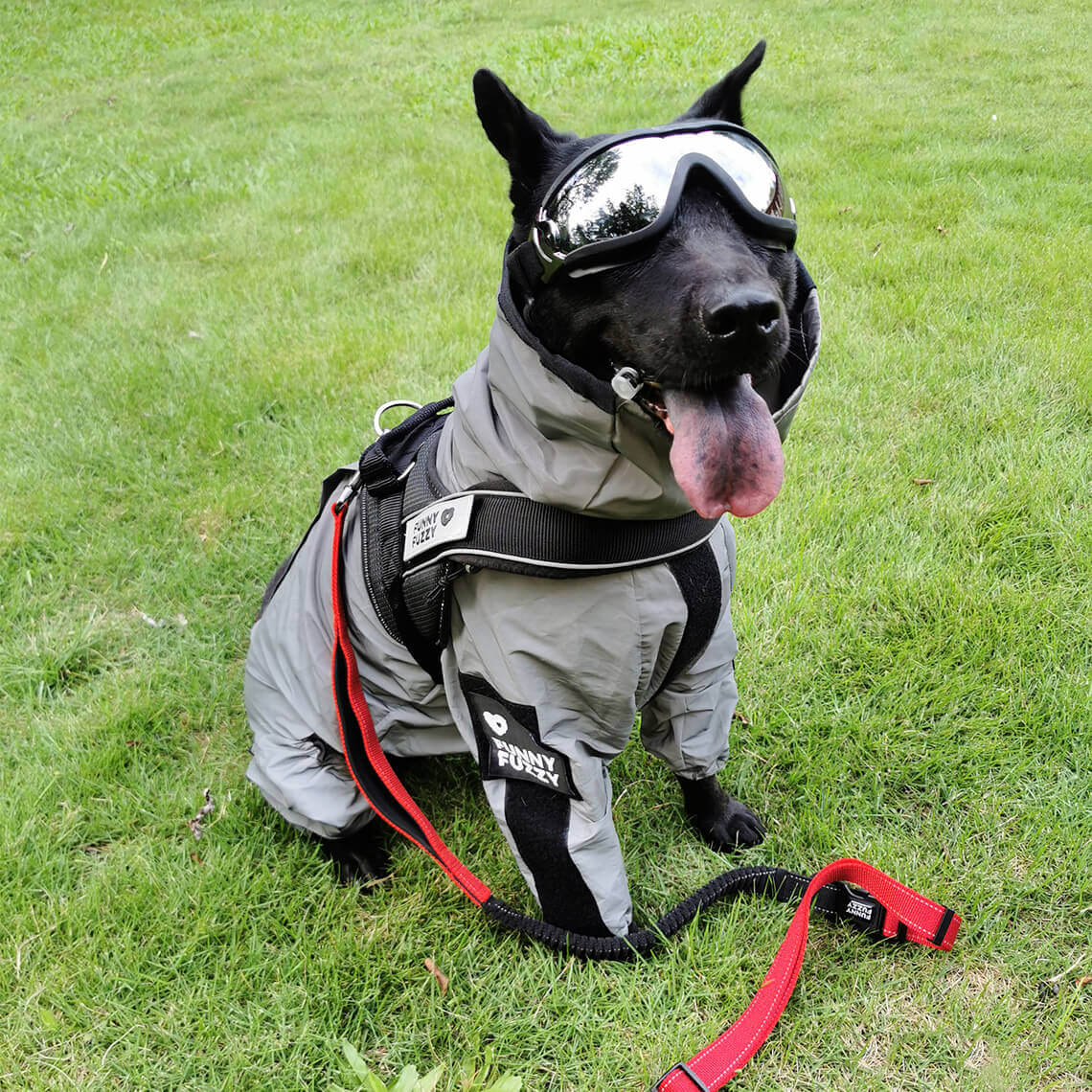 Reflektierender, wasserdichter Allwetter-Regenmantel mit coolem Hundezubehör