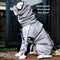 Manteau de pluie réfléchissant imperméable et imperméable pour tous les temps, accessoires pour chiens