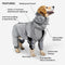 Manteau de pluie réfléchissant imperméable et imperméable pour tous les temps, accessoires pour chiens