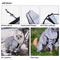 Manteau de pluie réfléchissant imperméable et imperméable pour tous les temps, accessoires pour chiens