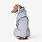 Manteau de pluie réfléchissant imperméable et imperméable pour tous les temps, accessoires pour chiens