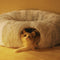 2 en 1 cama de túnel de gato redonda de gato suave y interior plegable