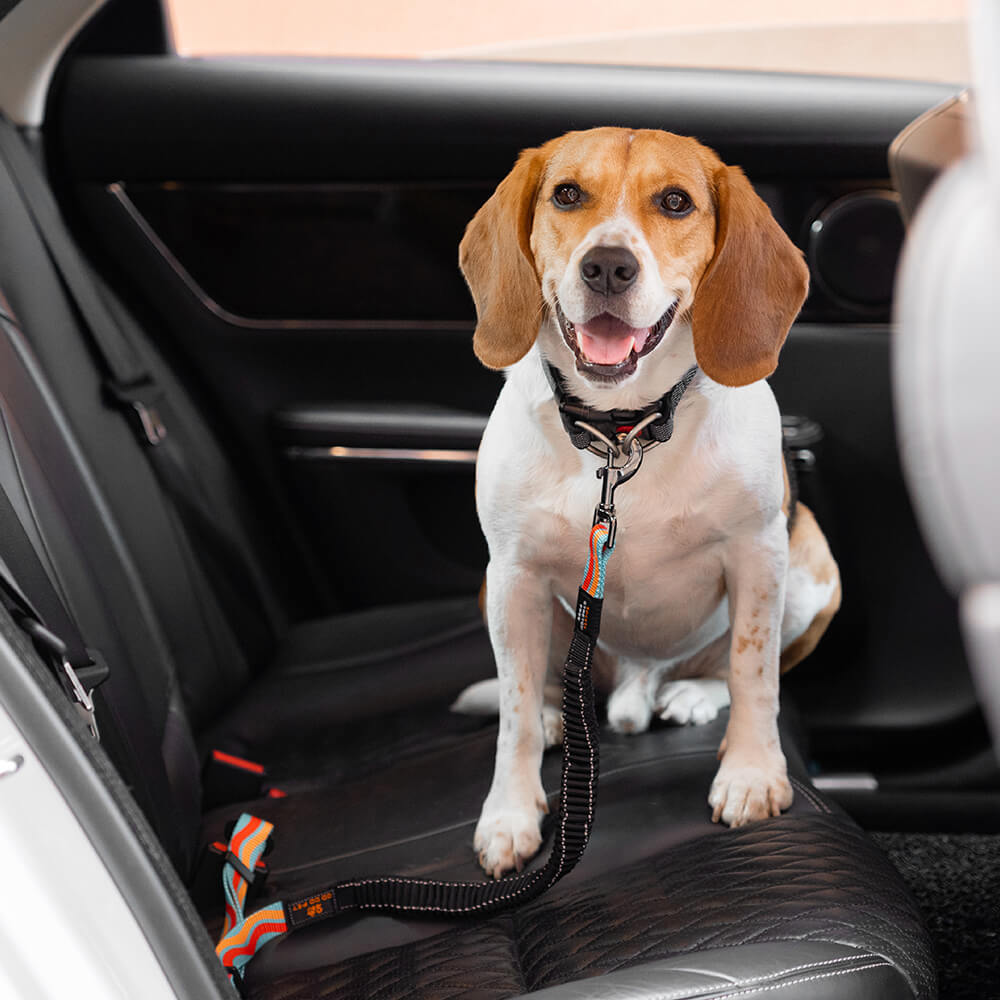 Bunter Puffer, verstellbar, cooles Hundezubehör, Auto-Sicherheitsgurt
