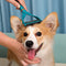 Pieto di pettine dematting per animali domestici - Blade a doppia faccia