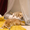 Blattförmige Hundedecke mit Donut-Hundebett, luxuriöse Hundegeschenke