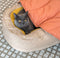 Lit orthopédique pour chien Donut